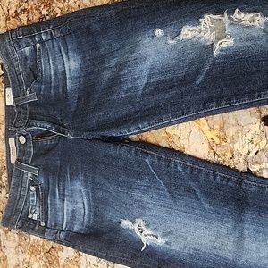 AG ADRIANO GOLDSCHMIED the beau slouchy skinny